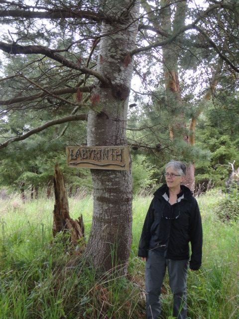 white pine photo